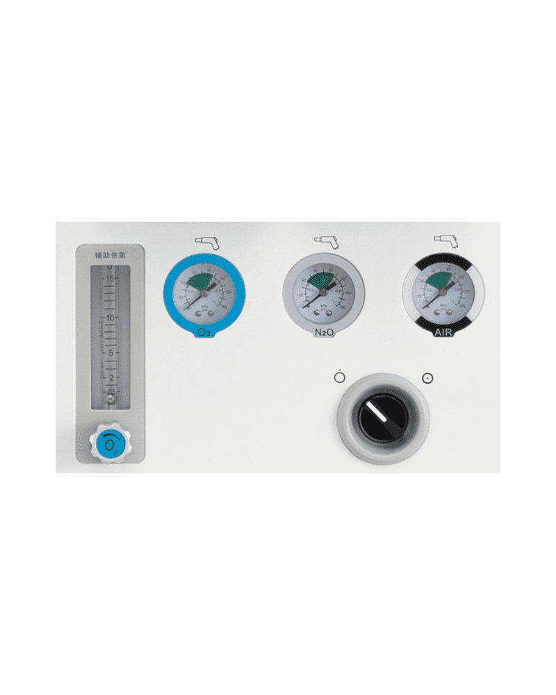 ADSII Anesthesia Delivery System